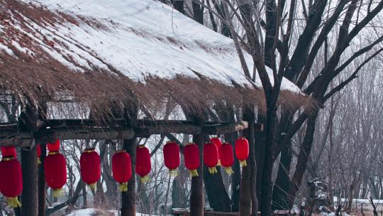 毛草棚下的红灯笼