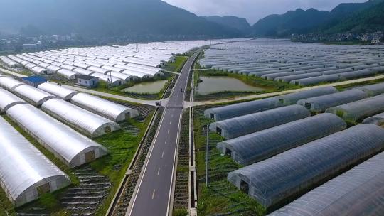 现代农业新农村大棚基地蔬菜水果种植