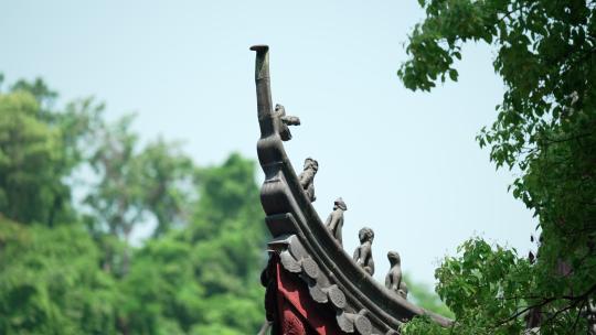 杭州下天竺夏天寺庙飞檐前的树叶和灯笼