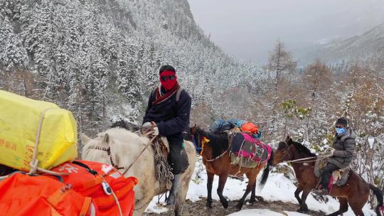 攀登岷山山脉都日峰的登山者运送物资的马帮