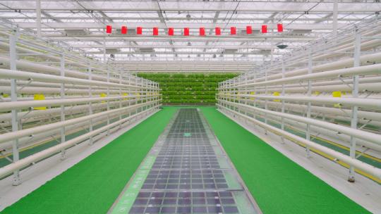 蔬菜大棚-温室大棚-科技农业