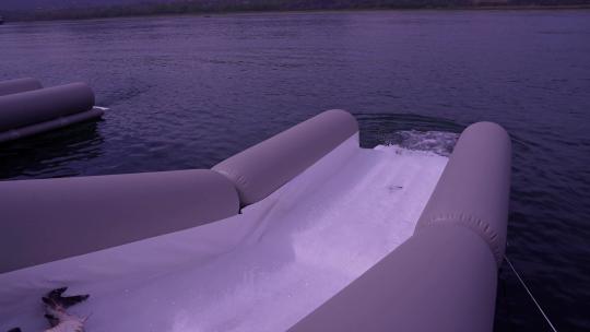 相机高清摄宜昌中华鲟放流(4)