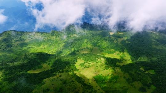 陕西汉中秦岭紫柏山高山草甸