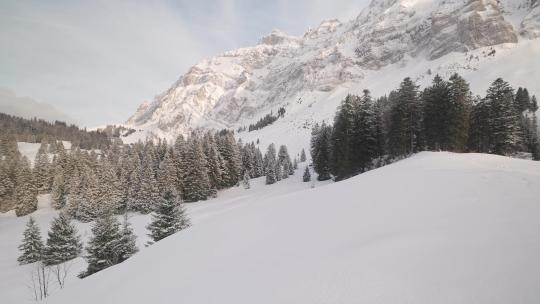 阿尔卑斯山冬季雪景