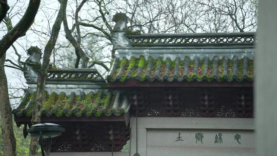 杭州钱王祠春天清明节雨天古建筑自然唯美