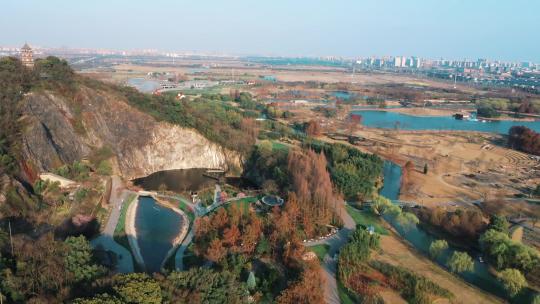 上海松江辰山植物园矿坑植物景观