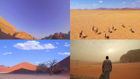 【合集】全景沙漠风光视频素材模板下载