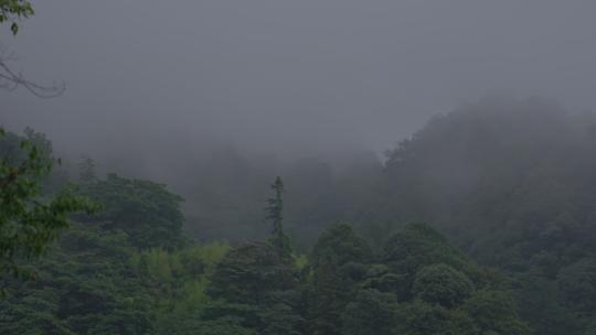 清晨山间云雾朦胧视频素材模板下载