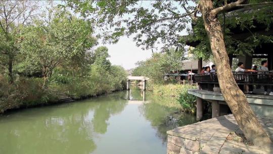 杭州西溪湿地的河水
