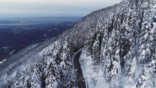 雪山边沙漠公路的鸟瞰图