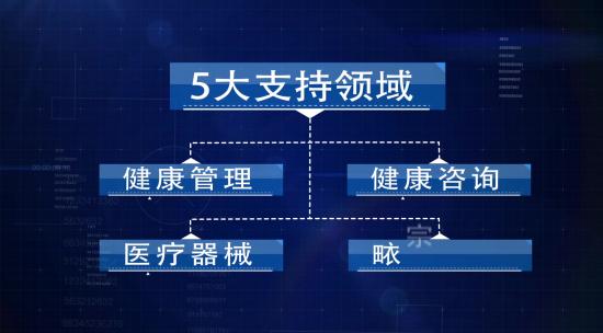 蓝色科技企业架构框架信息文字分类展示