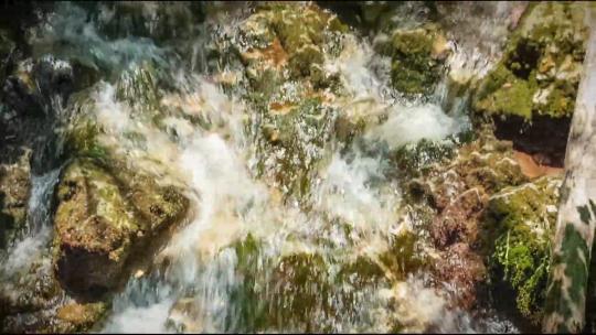 夏日森林溪流瀑布阳光植物