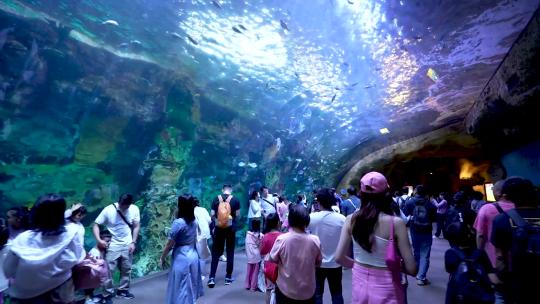 海洋水族馆