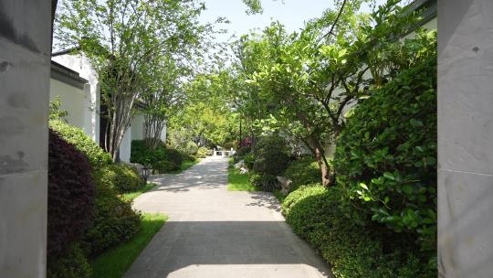 中式园林景观传统建筑公园小路通道