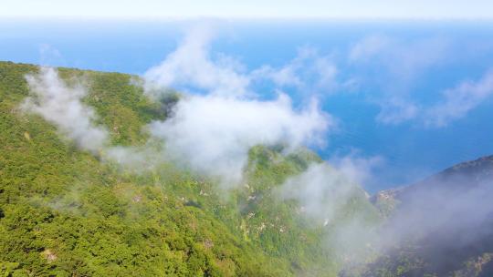 旅游景区云海晨雾