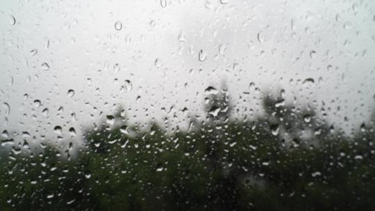 下雨天窗外风景水滴雨珠树林森林雨水风光