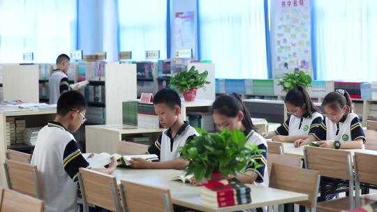 学生在图书室读书