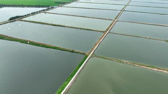 滁河风光带滁河水乡水网生态湿地鱼塘视频素材模板下载