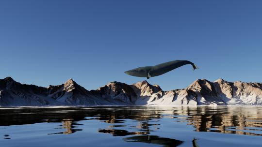 鲸鱼 大海 海洋 想象力 概念 天空 鲸