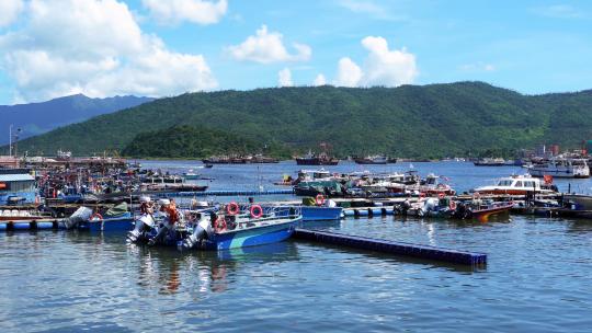 广东惠州大亚湾渔村渔船港口码头海景