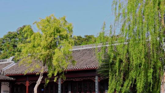 夏天中式建筑屋檐绿植园林景观