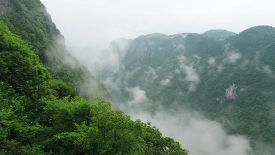 云雾缭绕的神农架山