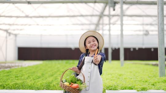 小女孩在温室花园的篮子里拿着有机生菜的画像