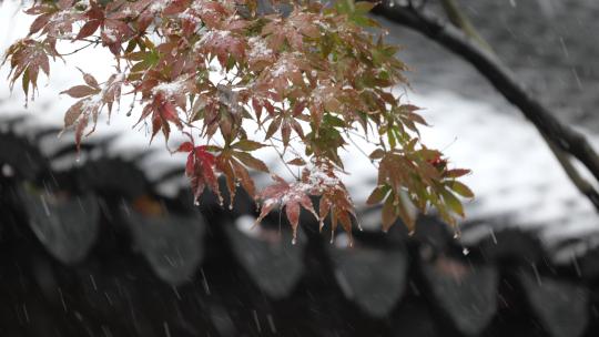 中式建筑下雪中实拍