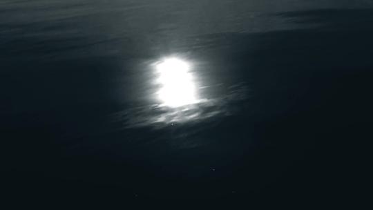 水中月倒影