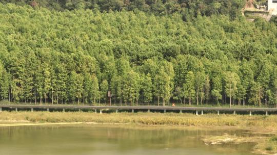 临安区青山湖水库青山湖国家森林公园视频素材模板下载