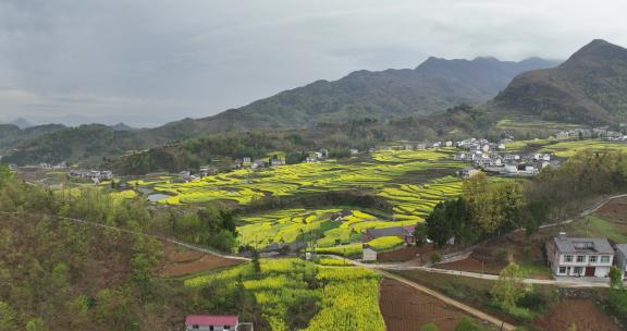 4k高清安康汉阴凤堰古梯田油菜花