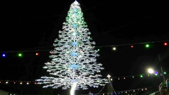 夜晚街道巨大的圣诞树