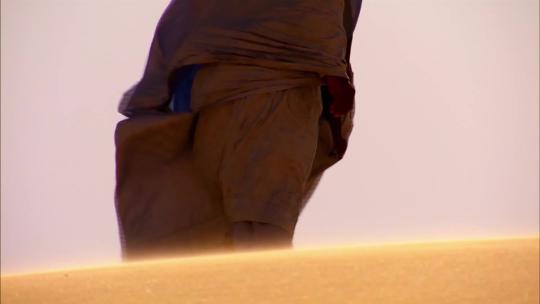沙漠骆驼行进丝绸之路素材
