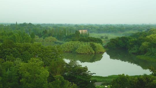 l1西溪观景台风景2