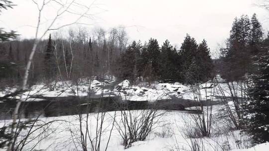 白雪覆盖的森林中流淌的河流