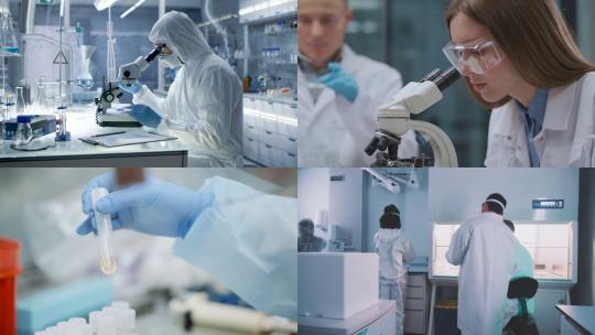 【合集】显微镜女科学家试管团队实验室视频素材模板下载