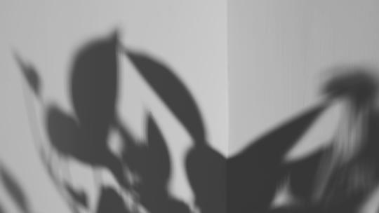 时光流逝光影视频素材