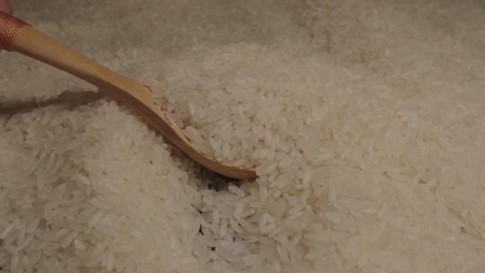 大米特写大米广告稻谷水稻大米