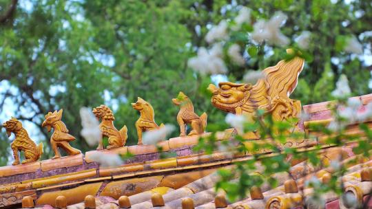 50p故宫紫禁城脊兽春天春色