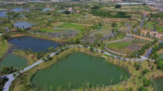 航拍厦门马銮湾双溪湿地公园