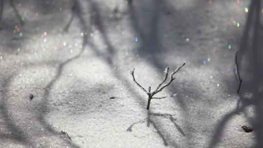 彩色雪晶雪景光影变幻延时