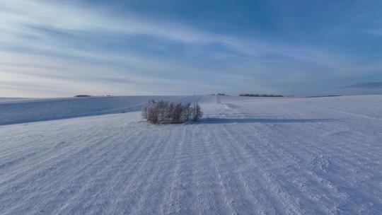 航拍严冬中的白雪皑皑的田野