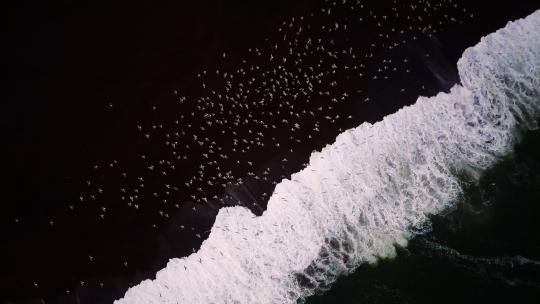 鸟瞰海浪拍打沙滩岩石海鸥视频素材模板下载
