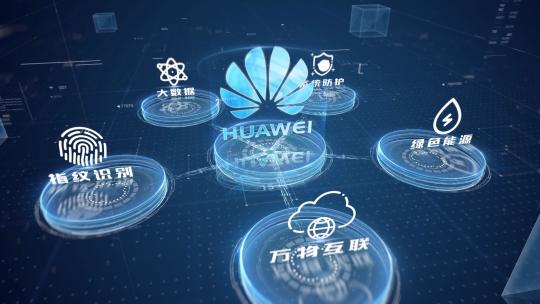 企业logo合作伙伴架构分类视频素材模板下载