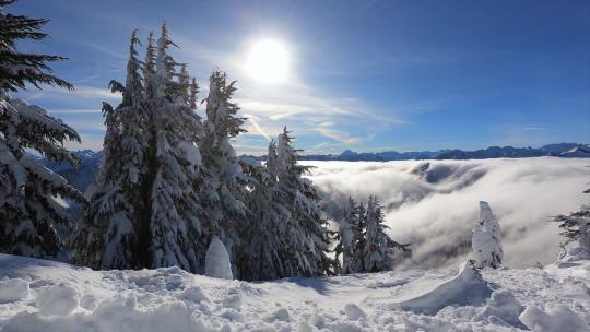 雪山云海云雾飘动大雪山雪松山脉平流云雾