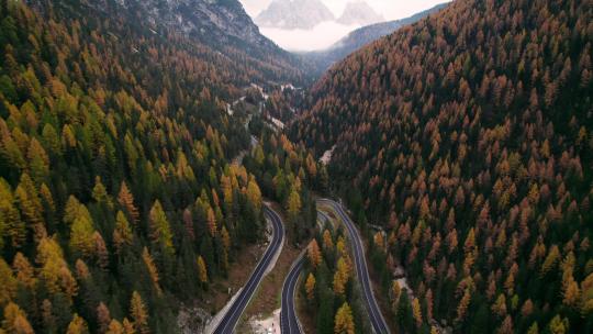 阿尔卑斯山唯美山川森林公路航拍