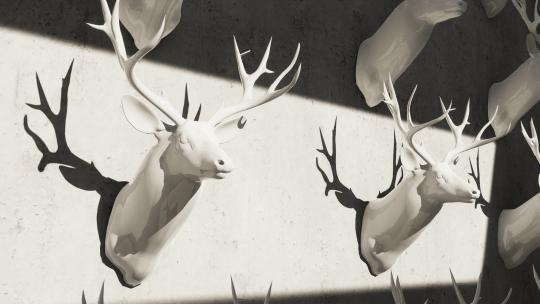 鹿头 鹿 狩猎 石膏 驯鹿 打猎 雕塑 鹿角视频素材模板下载