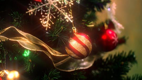 圣诞树实拍高清在线视频素材下载