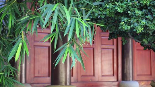 意境竹林竹影，中式古典园林