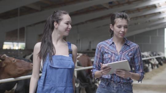 肖像两个女农民带着农场里的奶牛参观谷仓。女农民展示了视频素材模板下载